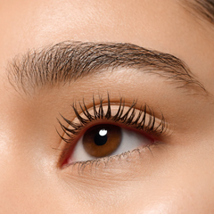 lash WITHOUT LIMITS TUBING BROWN EXTREME LENGTHENING & VOLUME MASCARA